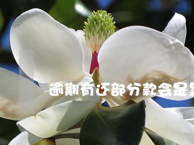 逾期有还部分款会是黑名单 逾期有还部分款会是黑名单