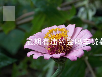 逾期有违约金吗车贷款 逾期有违约金吗车贷款