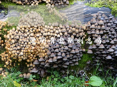 逾期有逾期利息吗