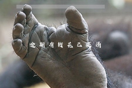 逾期有钱花已还清 逾期有钱花已还清