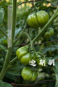 逾期朋友接到派出所电话 逾期朋友接到派出所电话