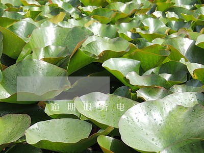 逾期服务电话 逾期服务电话