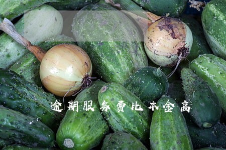 逾期服务费比本金高 逾期服务费比本金高