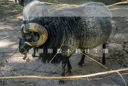 逾期期数不超过3期 逾期期数不超过3期