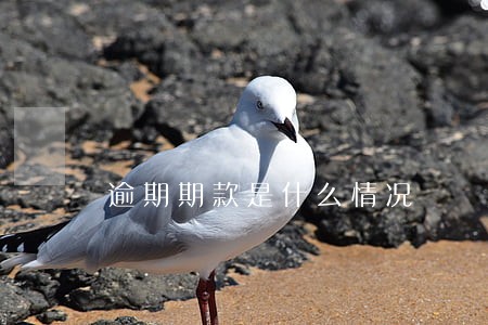 逾期期款是什么情况 逾期期款是什么情况