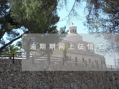 逾期期间上征信了 逾期期间上征信了