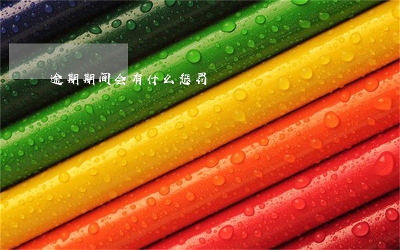 逾期期间会有什么惩罚 逾期期间会有什么惩罚