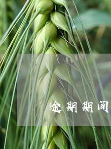 逾期期间借款算非法集资吗 逾期期间借款算非法集资吗