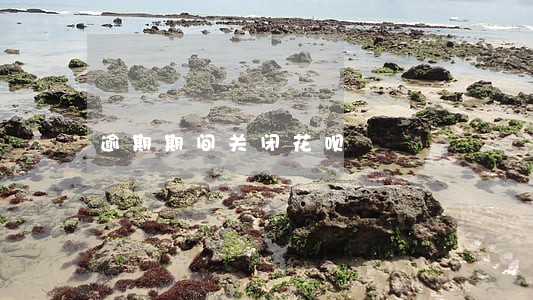 逾期期间关闭花呗 逾期期间关闭花呗