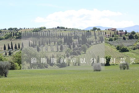 逾期期间可以分期付款买车吗 逾期期间可以分期付款买车吗