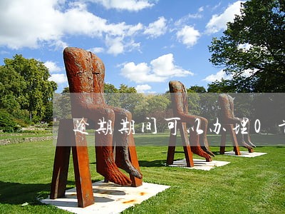 逾期期间可以办理0首付吗 逾期期间可以办理0首付吗