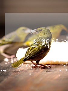 逾期期间工资怎么发 逾期期间工资怎么发
