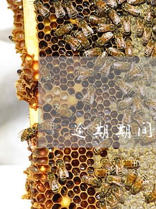 逾期期间搞笑图片