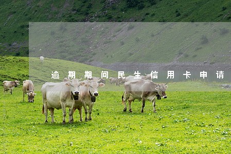 逾期期间民生信用卡申请延期