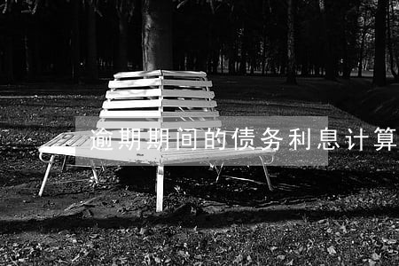 逾期期间的债务利息计算 逾期期间的债务利息计算