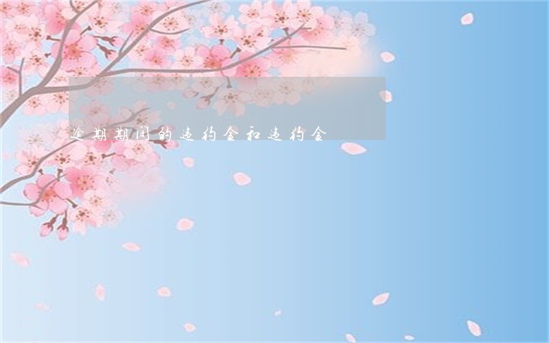 逾期期间的违约金和违约金
