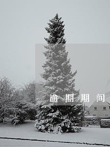 逾期期间能去曼谷吗 逾期期间能去曼谷吗