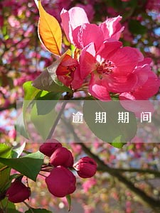 逾期期间还一点 逾期期间还一点