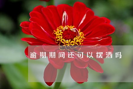 逾期期间还可以摆酒吗