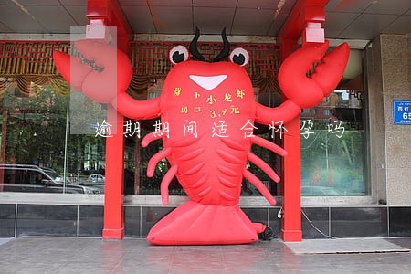 逾期期间适合怀孕吗 逾期期间适合怀孕吗