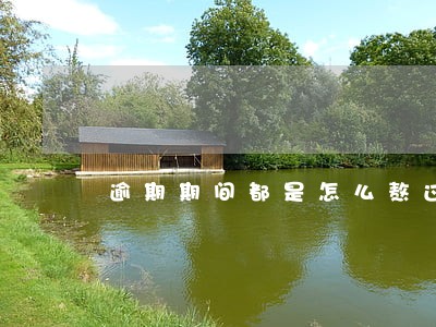 逾期期间都是怎么熬过来的 逾期期间都是怎么熬过来的