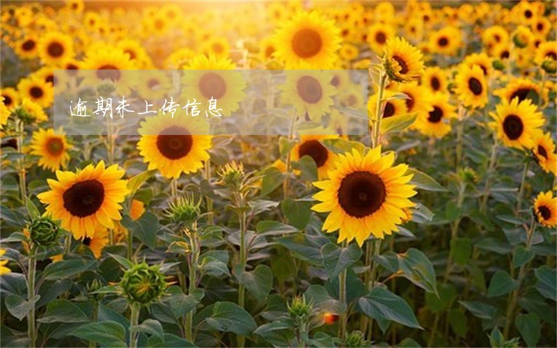逾期未上传信息 逾期未上传信息