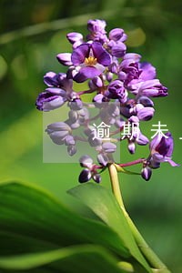 逾期未上征信有什么影响 逾期未上征信有什么影响