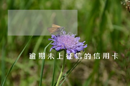 逾期未上征信的信用卡