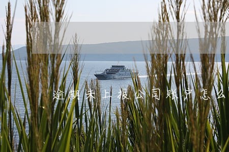 逾期未上报公司账户怎么办 逾期未上报公司账户怎么办