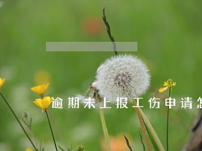 逾期未上报工伤申请怎么写 逾期未上报工伤申请怎么写
