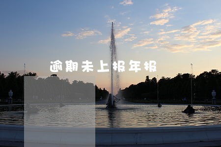 逾期未上报年报 逾期未上报年报