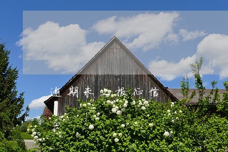 逾期未上报征信 逾期未上报征信