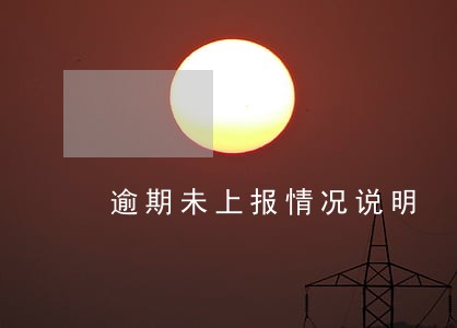 逾期未上报情况说明 逾期未上报情况说明