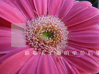 逾期未上报的单位后果自负 逾期未上报的单位后果自负