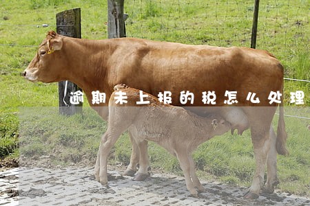 逾期未上报的税怎么处理 逾期未上报的税怎么处理