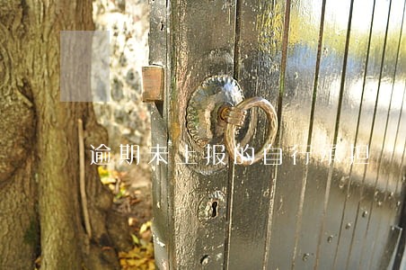 逾期未上报的自行承担