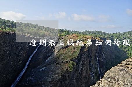 逾期未上报税务如何处理 逾期未上报税务如何处理
