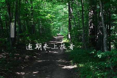 逾期未上报者 逾期未上报者