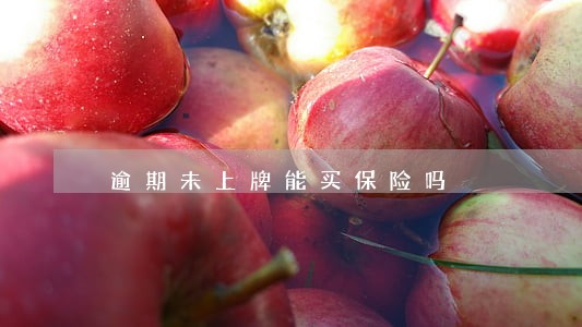 逾期未上牌能买保险吗 逾期未上牌能买保险吗