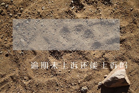 逾期未上诉还能上诉吗 逾期未上诉还能上诉吗