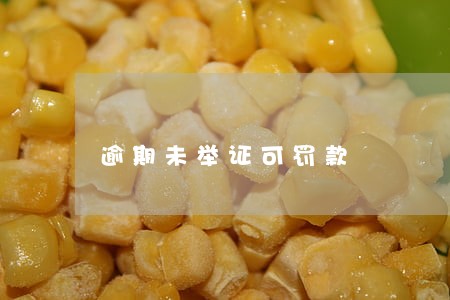 逾期未举证可罚款 逾期未举证可罚款
