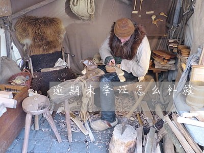 逾期未举证怎么补救 逾期未举证怎么补救