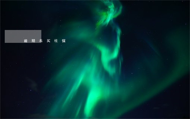 逾期未买社保 逾期未买社保
