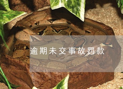 逾期未交事故罚款 逾期未交事故罚款