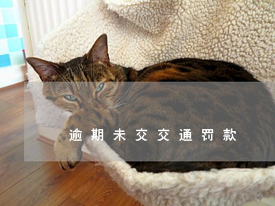 逾期未交交通罚款 逾期未交交通罚款