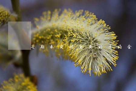 逾期未交付电费的违约金如何收取 逾期未交付电费的违约金如何收取