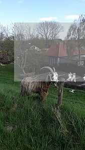 逾期未交保险交利息吗 逾期未交保险交利息吗