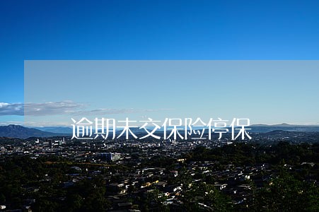 逾期未交保险停保 逾期未交保险停保