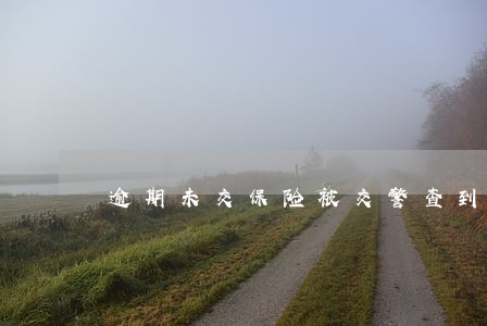 逾期未交保险被交警查到怎么办 逾期未交保险被交警查到怎么办