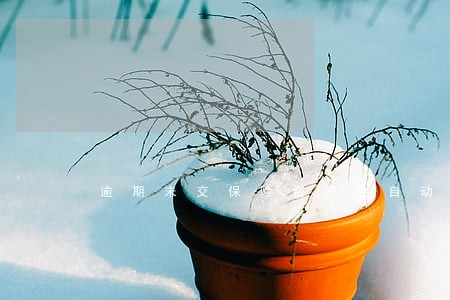 逾期未交保险费还会自动扣费 逾期未交保险费还会自动扣费